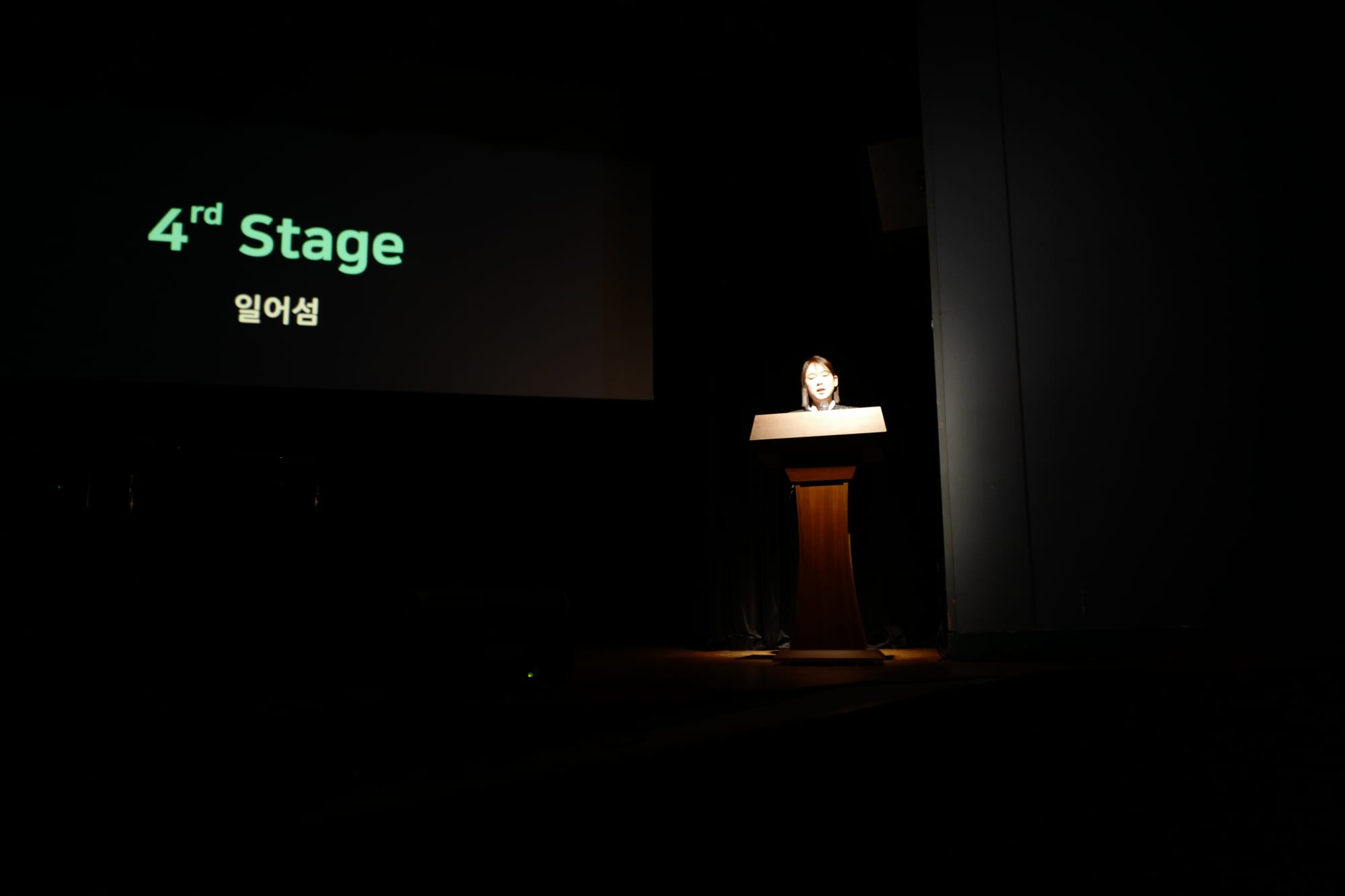 공연을 즐기는 관객들